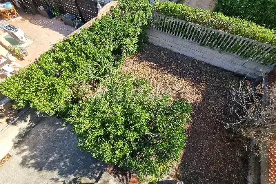 Casa in vendita, Via dei Delfini, Ardea