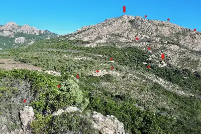 Agricolo in vendita, Berchidda, SP 138, Berchidda