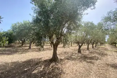 Villa in vendita, Via San Giovanni Bosco, Siracusa