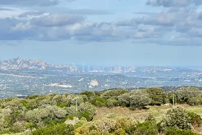 Agricolo in vendita, SANT'ANTONIO DI GALLURA , Sant'Antonio di Gallura