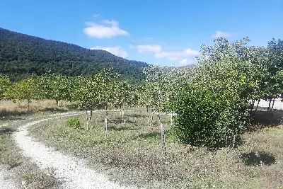 Casa Indipendente in vendita, MALONGA, San Fele