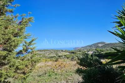 Agricolo in vendita, Località Li Paddimi, Castelsardo