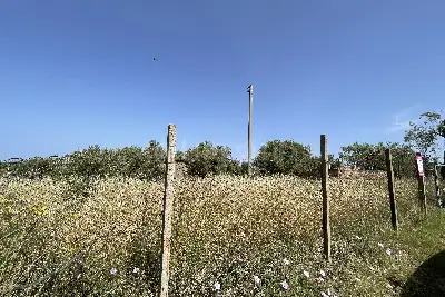 Agricolo in vendita, Piano Torre Spartà, Messina