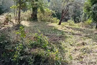 Agricolo in vendita, varazze via Quinno, Varazze