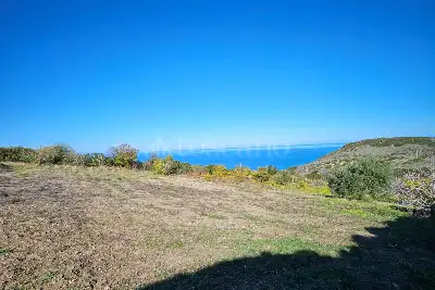 Agricolo in vendita, Località Li Paddimi, Castelsardo
