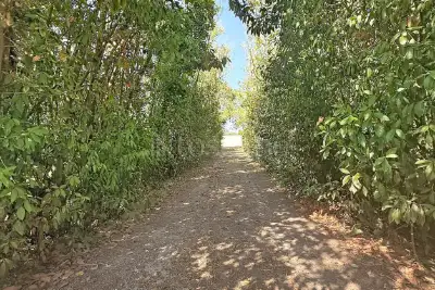 Casa Indipendente in vendita, Strada Vicinale Giagumona, Sassari