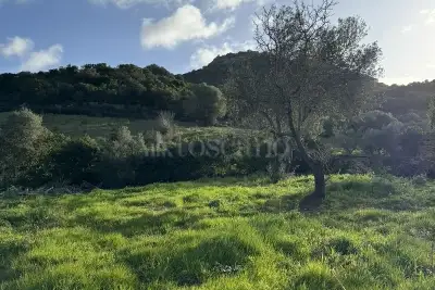 Edificabile Residenziali in vendita, Loiri porto san Paolo, La castagna, via del mandorlo, Loiri Porto San Paolo