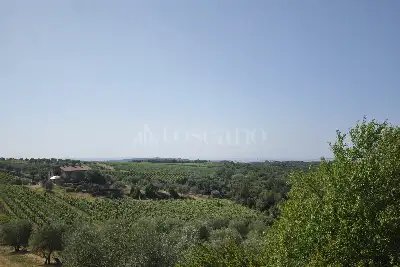 Villa in vendita, Via del Gallo Nero, Castelnuovo Berardenga