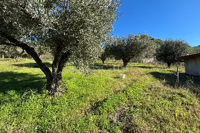 Casa Indipendente in vendita, Via Fausto Gullo, Borgia