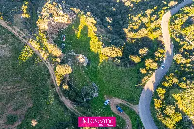 Agricolo in vendita, SP 79, Olbia, Olbia