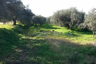 Rustico in vendita, Strada Provinciale 50, Messina
