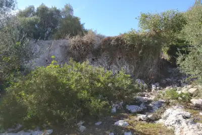 Agricolo in vendita, Noto, Noto