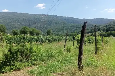 Agricolo in vendita, Località Prada , Nave