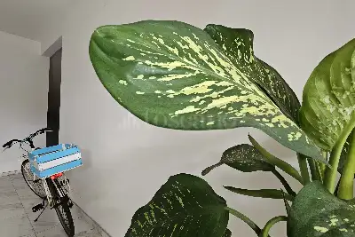 Casa in vendita, Lungomare Duca degli Abruzzi, Roma