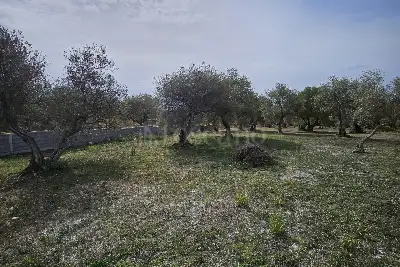 Edificabile Residenziali in vendita, Strada Vicinale Rizzeddu Gioscari 4, Sassari