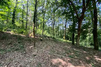 Agricolo in vendita, Via dei Boschi, Sutri