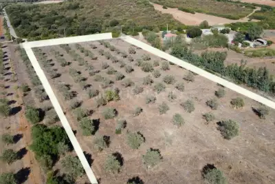 Agricolo in vendita, Sassari, Sassari