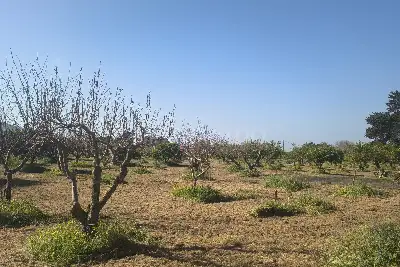 Agricolo in vendita, Via Emanuela, Erice