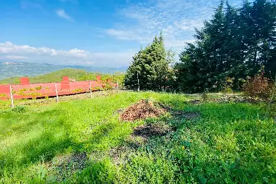 Agricolo in vendita, Via delle foreste, Manocalzati, Manocalzati