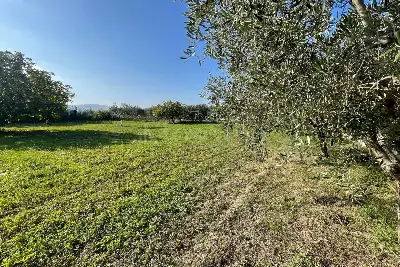 Agricolo in vendita, Via Francesco Baracca , Martinsicuro, Martinsicuro