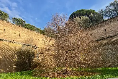 Casa in vendita, Viale Vaticano, Roma