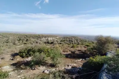 Agricolo in vendita, Noto, Noto