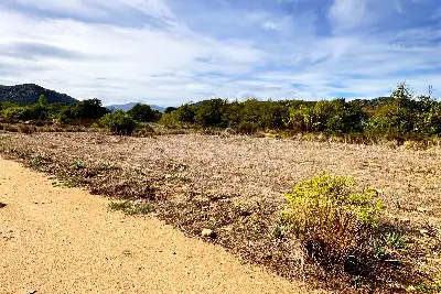 Agricolo in vendita, Trudda , Loiri Porto San Paolo