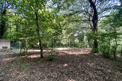 Agricolo in vendita, Via dei Boschi, Sutri