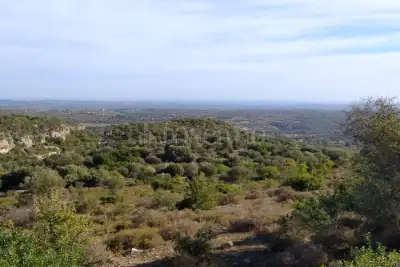 Agricolo in vendita, Noto, Noto