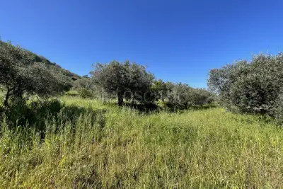 Rustico in vendita, Strada Provinciale 50, Messina