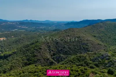 Agricolo in vendita, Monti, Monti