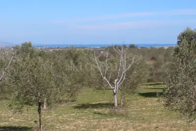 Casale in vendita, Contrada Triona, Noto