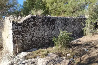Agricolo in vendita, Noto, Noto