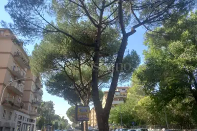 Negozio in affitto, Via Attilio Ambrosini, Roma