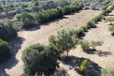 Edificabile Residenziali in vendita, Strada Vicinale Giagumona, Sassari