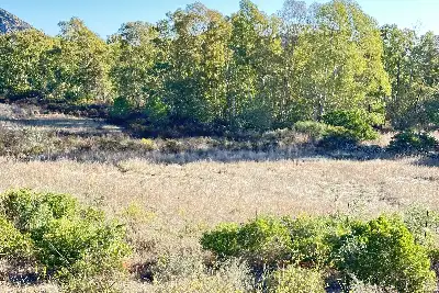 Albergo in vendita, Viale Cala Ginepro, Orosei
