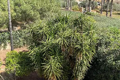 Villa in vendita, marsala  stagnone, Marsala