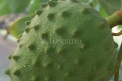 Villa in vendita, Via San Giovanni Bosco, Siracusa