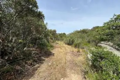 Agricolo in vendita, Telti via Monti Longu., Telti