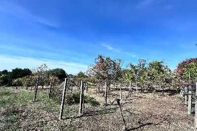 Villa in vendita, via colle cancellata grande , Zagarolo