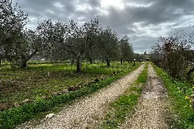 Casa Indipendente in vendita, Strada Vicinale Punta Moro, Alghero