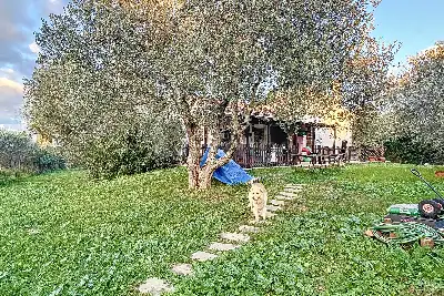 Casa Indipendente in vendita, Strada Vicinale Monte Fiocca Tronco B, Sassari
