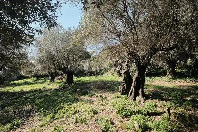 Casa Indipendente in vendita, Via Pompeo Magno , Albano Laziale