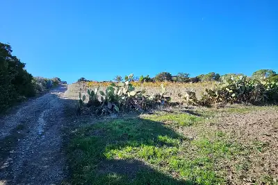 Agricolo in vendita, Località Li Paddimi, Castelsardo