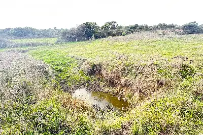 Agricolo in vendita, Loc. Caldosu, Sant'Antonio di Gallura