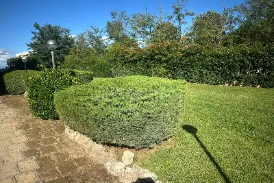 Casa in vendita, Via di Grotte d'Arcaccio, Roma