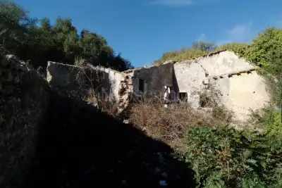 Agricolo in vendita, Noto, Noto