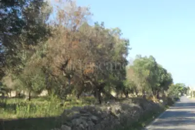 Edificabile Residenziali in vendita, Via Scalelle, Gallipoli