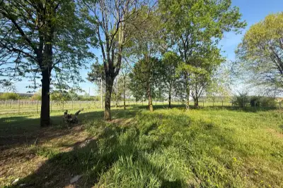 Casa in vendita, Stradello San Matteo, Modena