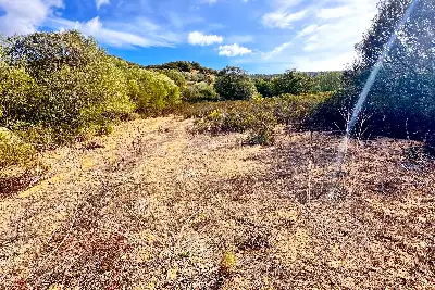 Agricolo in vendita, Trudda , Loiri Porto San Paolo